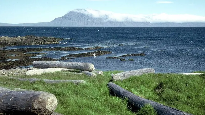 reikiavik reikiavik