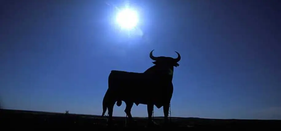 toros