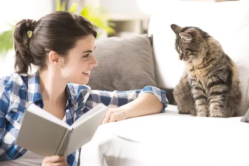 curiosidades sobre los gatos