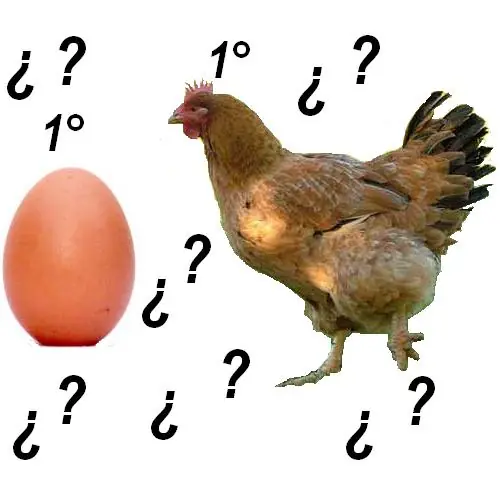 ¿Qué fue primero, el huevo o la gallina?