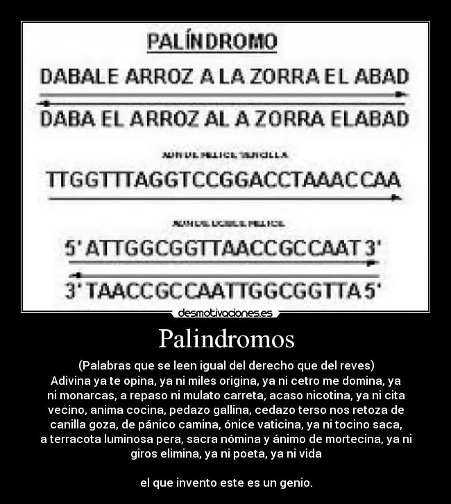 lista