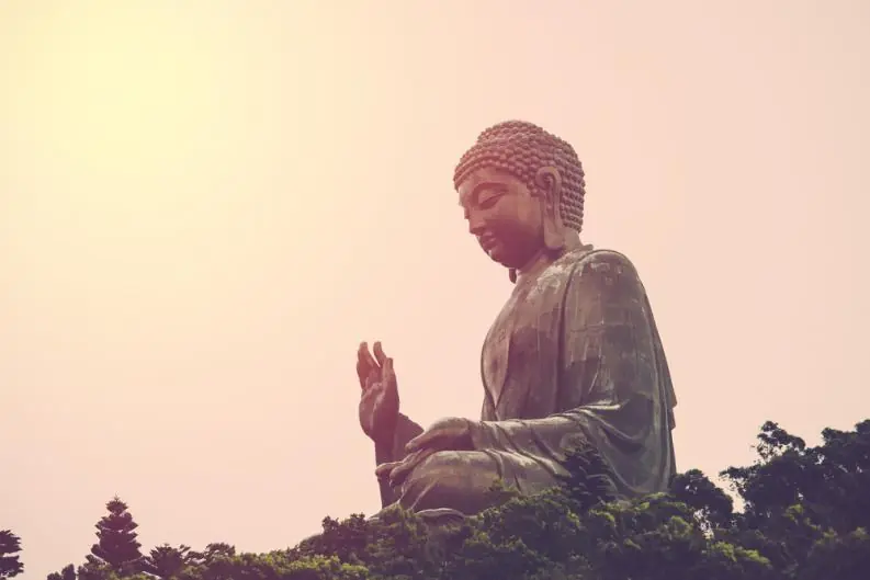 buda buda