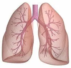 Técnicas de respiración al hacer ejercicio
