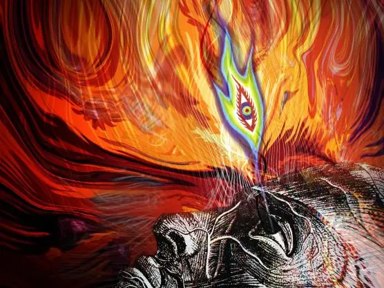 Descubre aqui en que lugar del cerebro sientes a "dios"