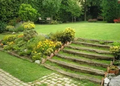 jardin