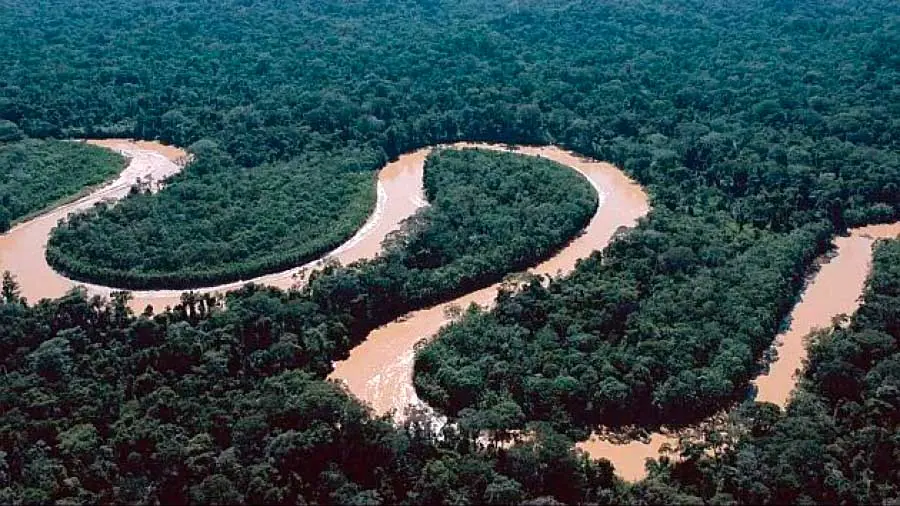 El Río Amazonas se formó hace más de 9 millones de años