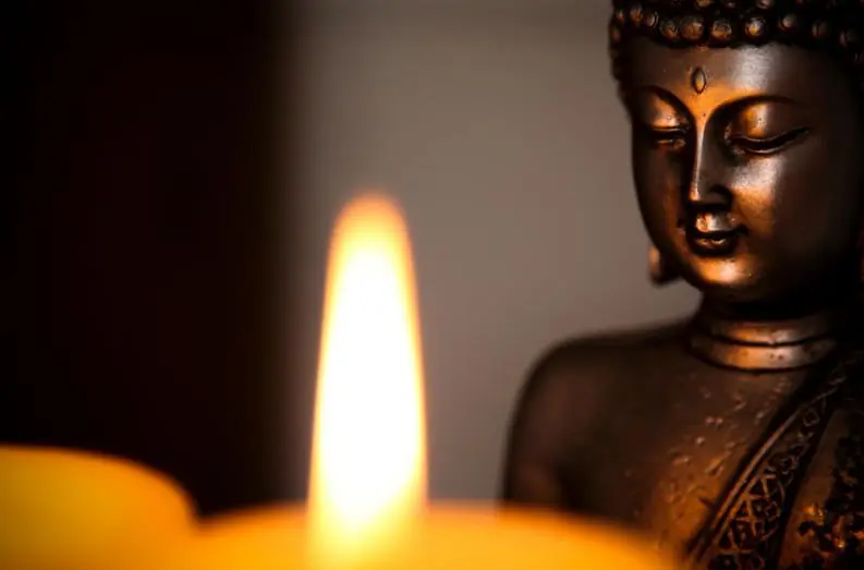 buda buda