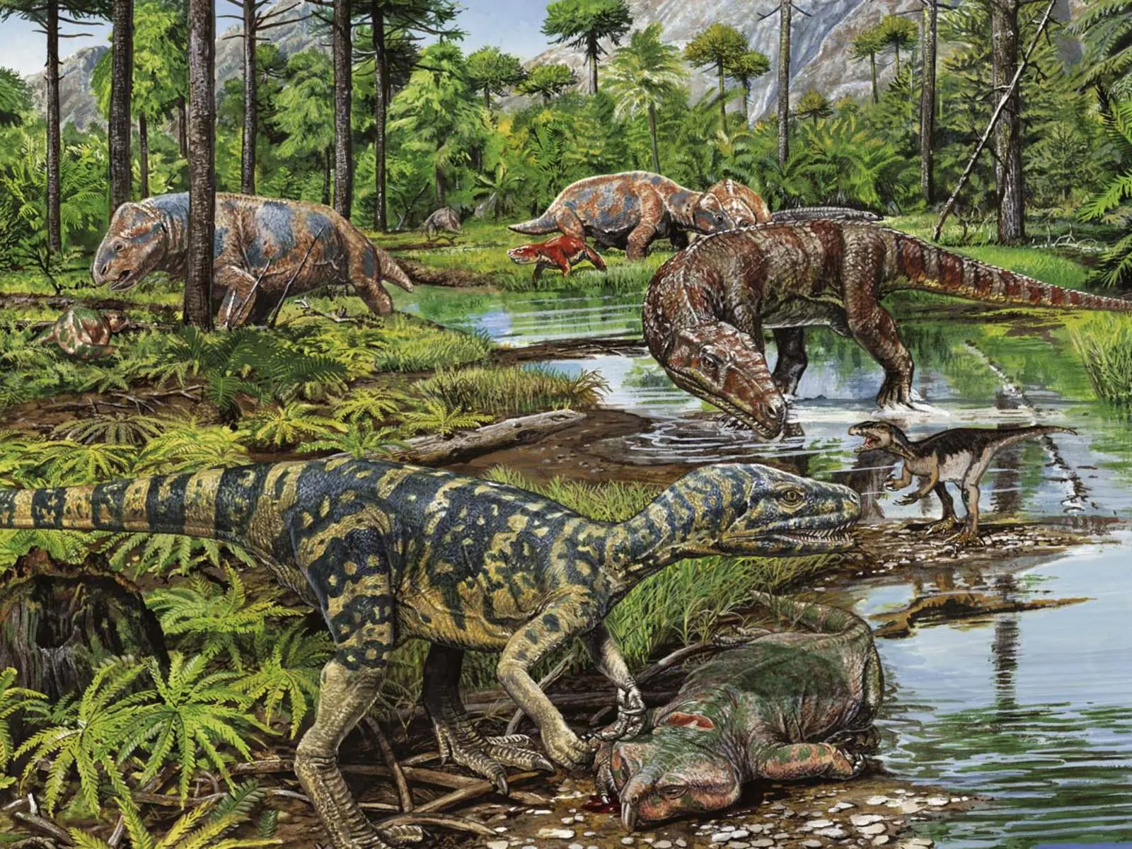 extinciones