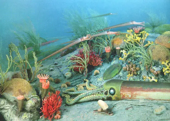 Las 5 extinciones en masa del planeta Tierra.