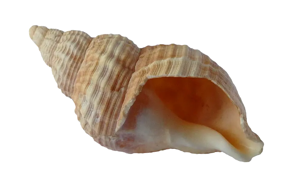 crustacios