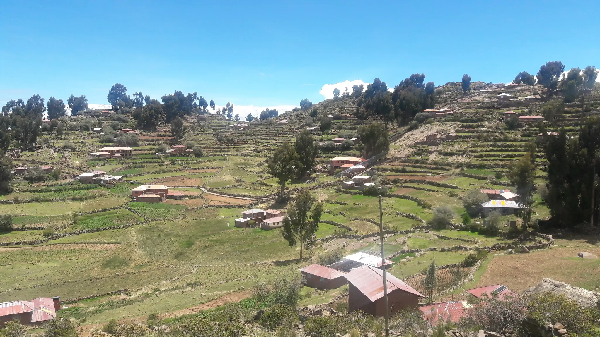 Ferris Otaku Adventures- Titicaca Crusaders