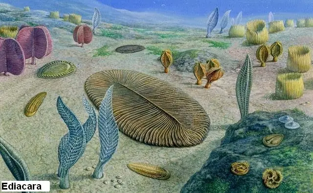 planeta