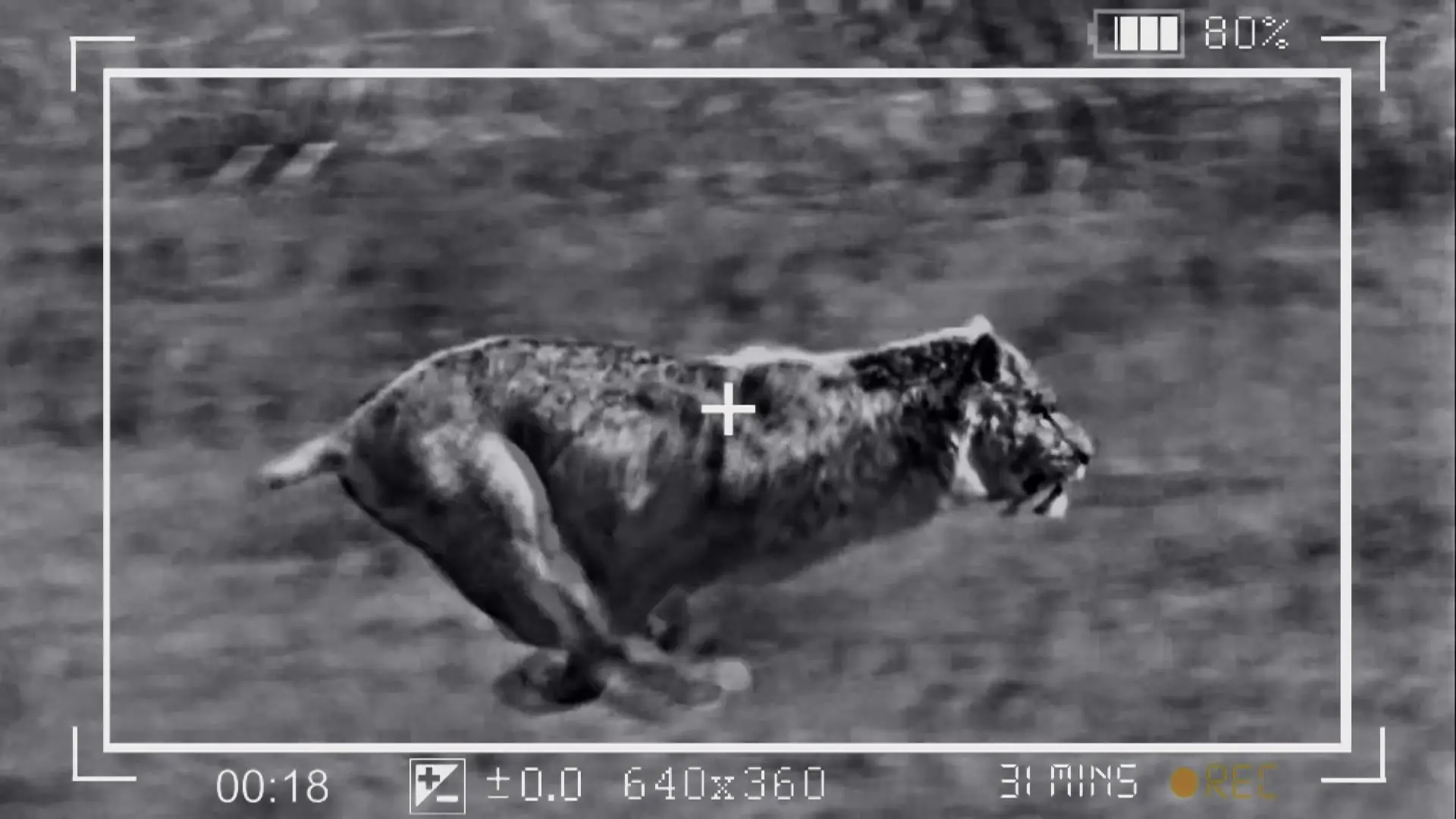 smilodon
