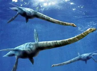 Las 5 extinciones en masa del planeta Tierra.