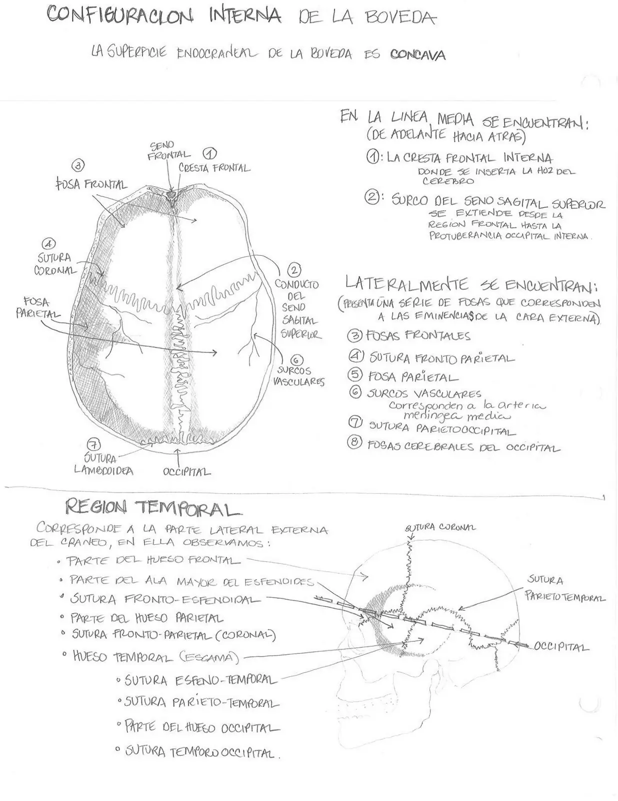 medicina