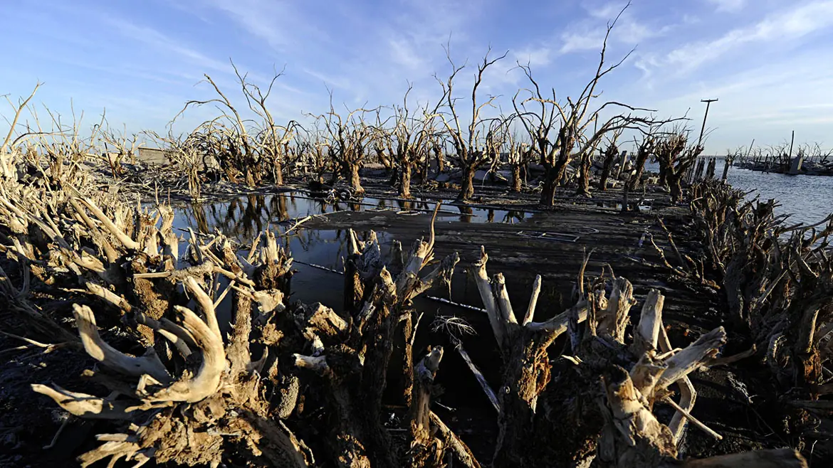 Epecuén, el pueblo que emergió de las aguas