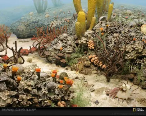 extinciones