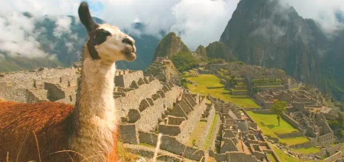 inca