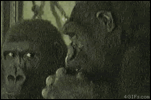 Gifs