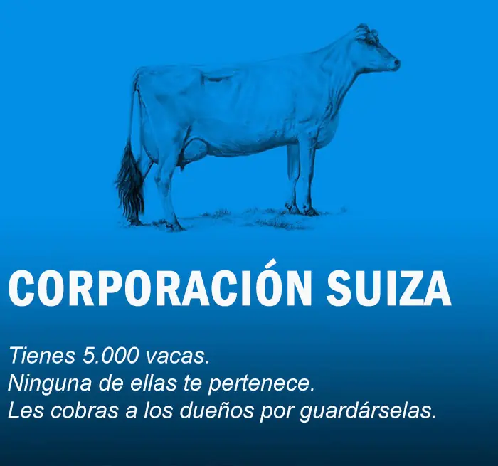 Te explico como funciona la economía con dos vacas