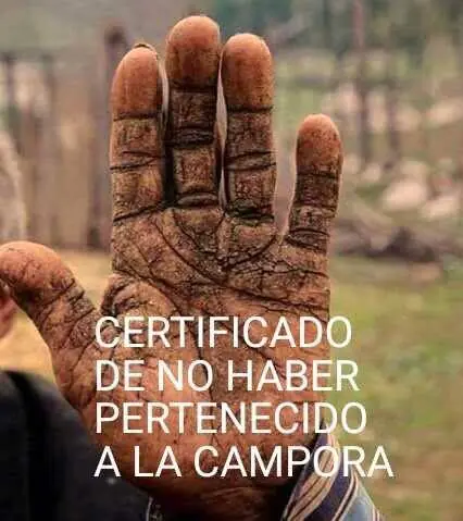 ladron anibal fernandez