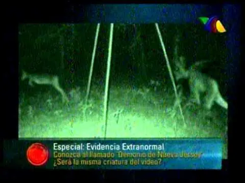 miedo