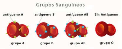 tipos