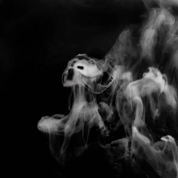 aromas aromas