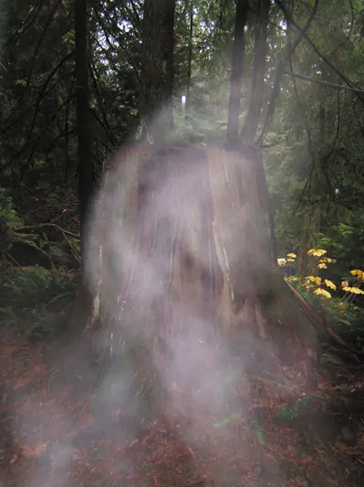 ¿Pueden los fantasmas ser identificados por su olor? ¿Pueden los fantasmas ser identificados por su olor?