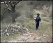 risas