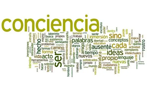 Datos Psicológicos que debes Conocer [No Tadingas]