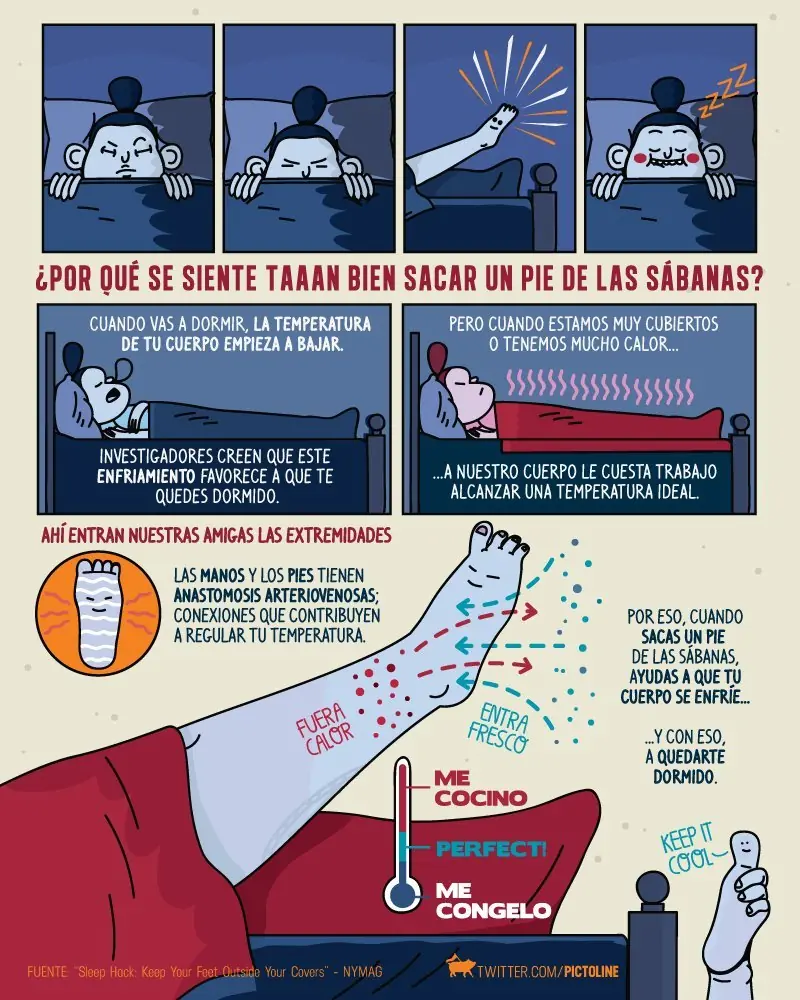 [Megapost] Te explico la vida con estas imagenes