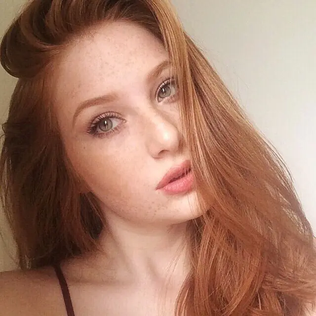 modelo