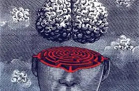 ciencia
