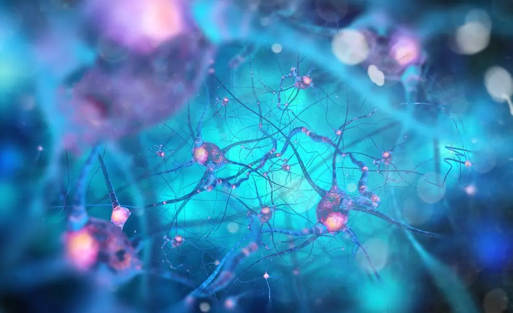¡Esto le ocurre a tu cerebro en los últimos 30seg de vida!