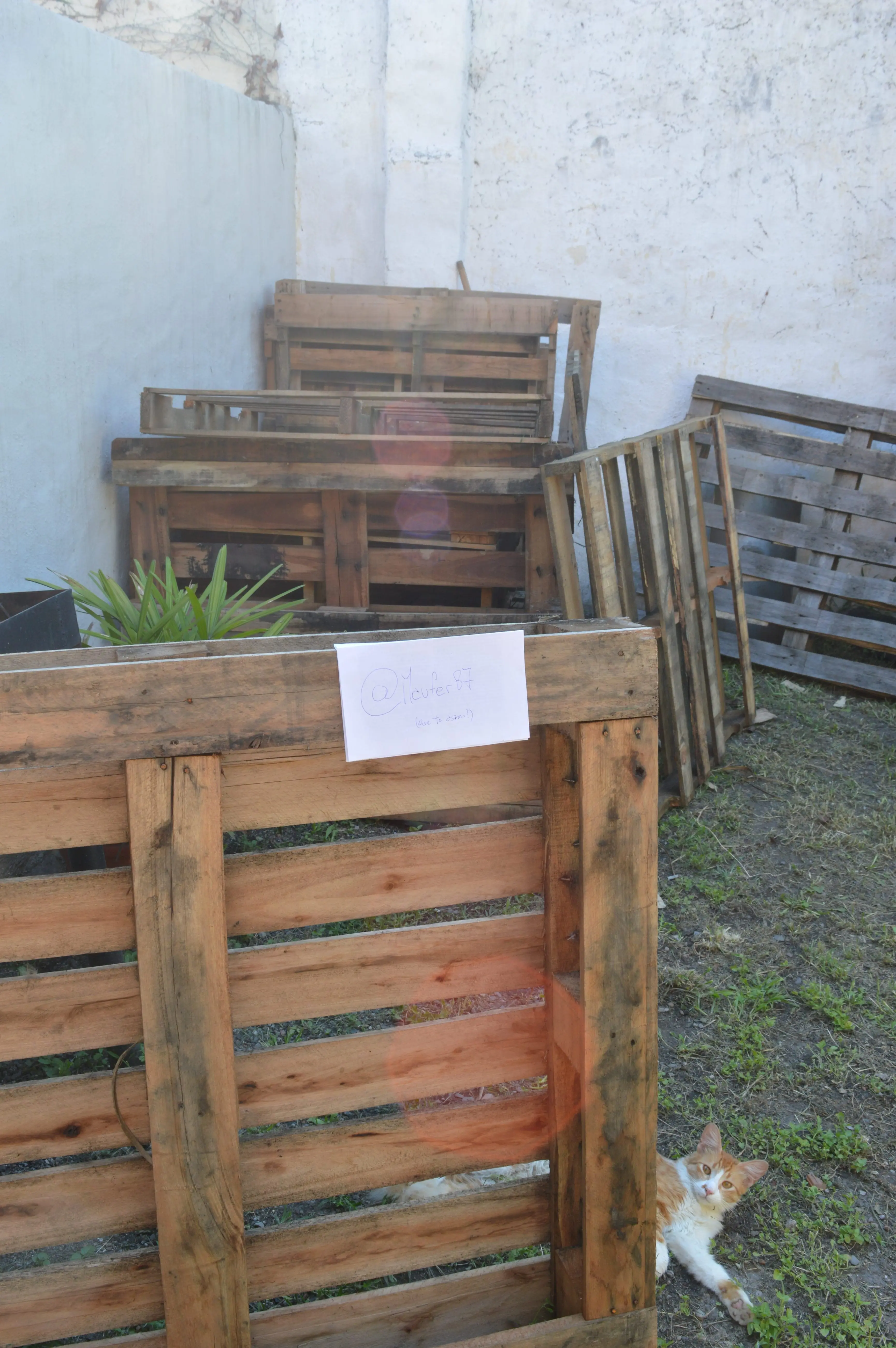 Carpinteria en casa, fototutorial, cap 1 (con certificadas)