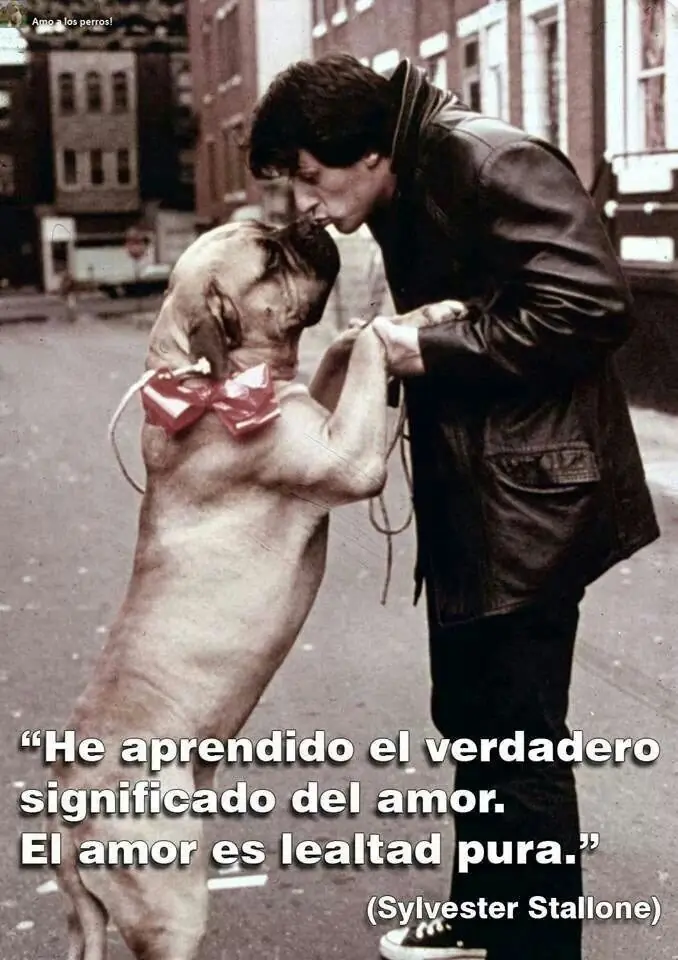 citas