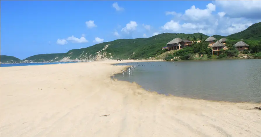 Los 5 hoteles más verdes de Jalisco