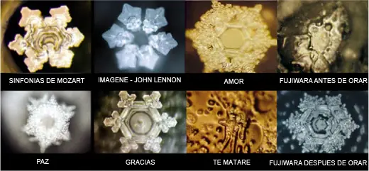 aqui esta