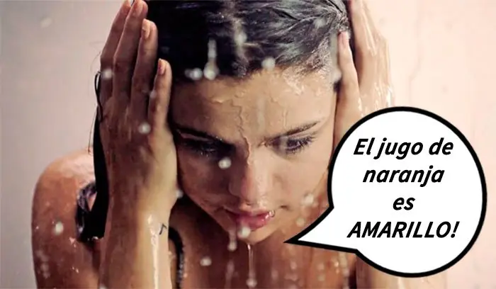 pensamientos
