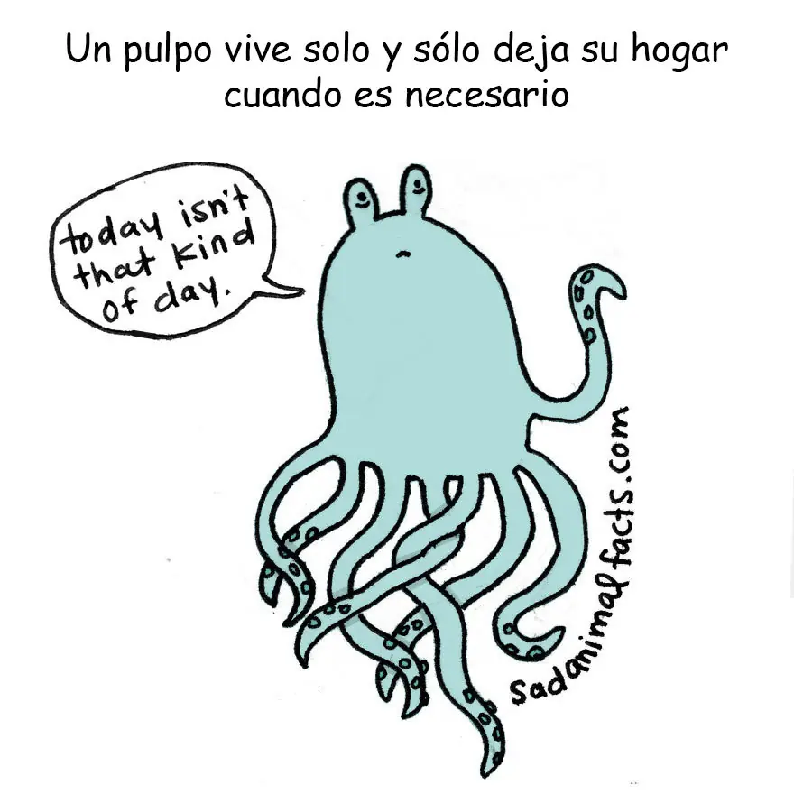 Animales Animales