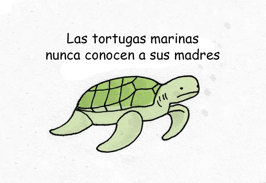 cosas que no sabias cosas que no sabias