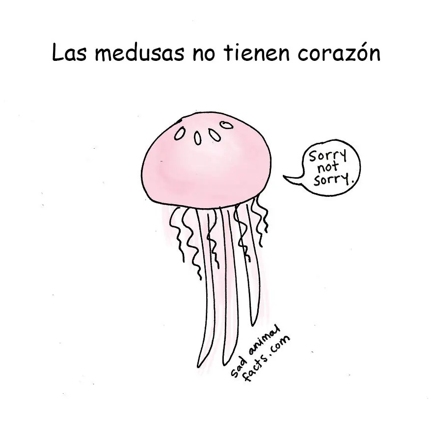 20 Curiosidades muy Tristes sobre Animales 20 Curiosidades muy Tristes sobre Animales