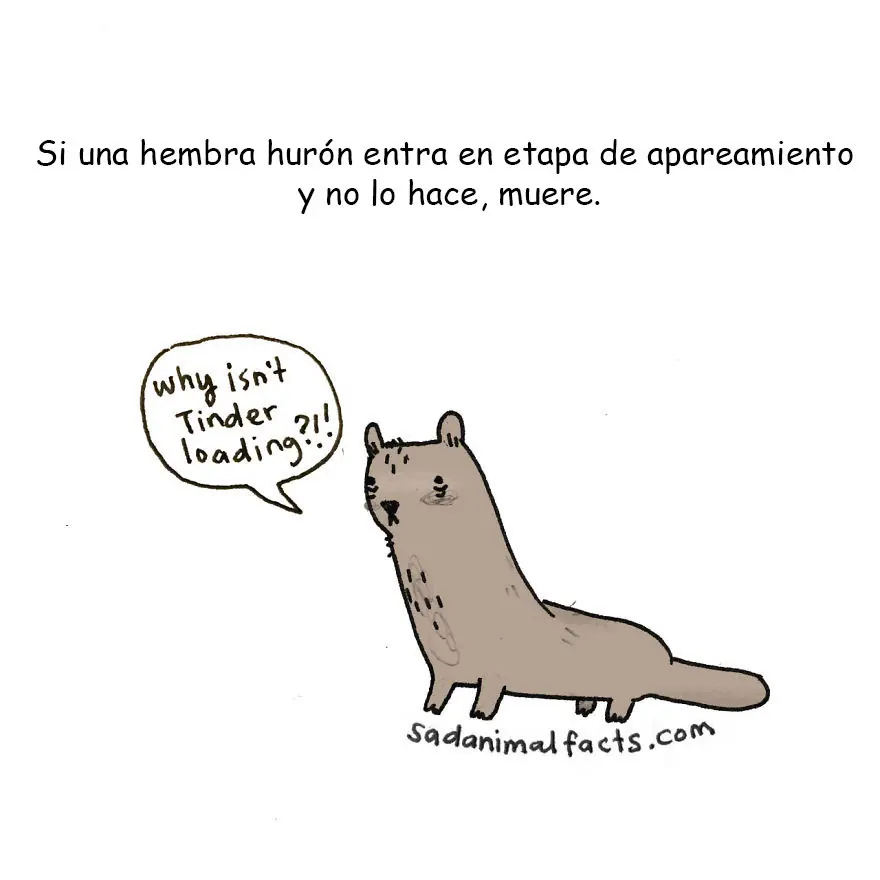 cosas que no sabias cosas que no sabias