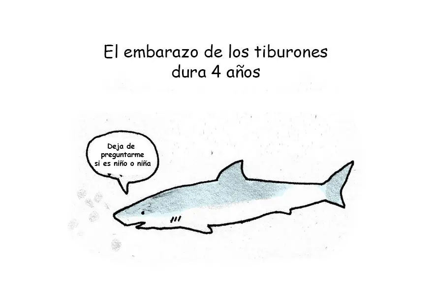 datos curiosos datos curiosos