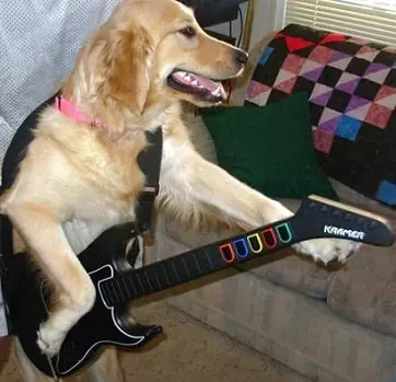 Guitar Virgo