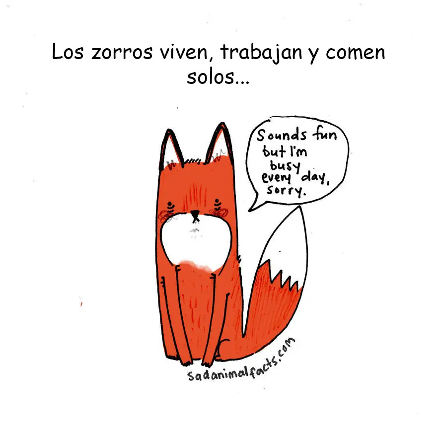 cosas que no sabias cosas que no sabias