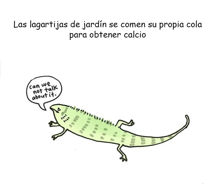 datos curiosos datos curiosos
