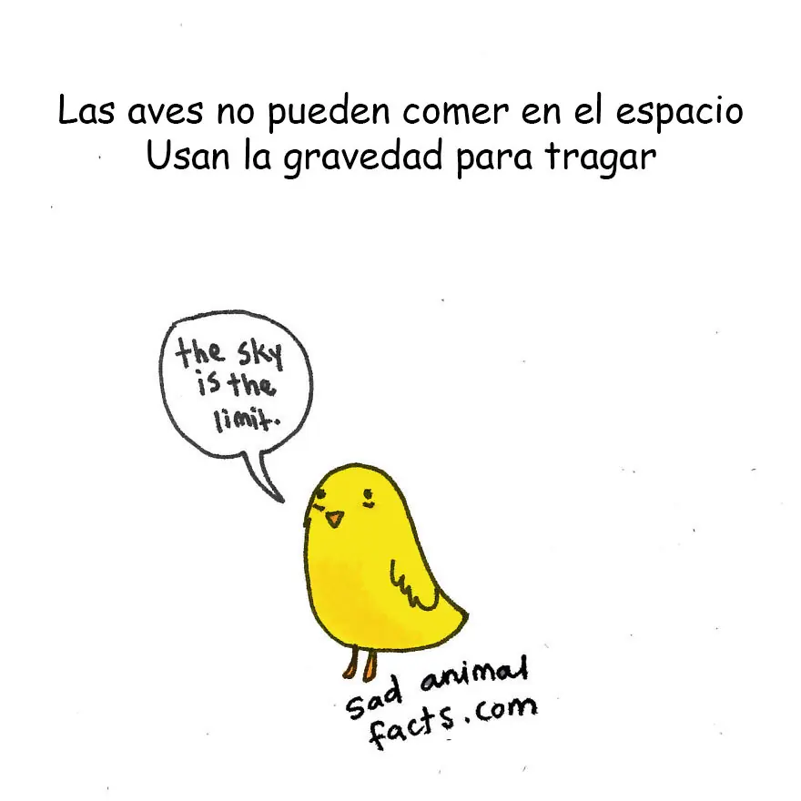 20 Curiosidades muy Tristes sobre Animales 20 Curiosidades muy Tristes sobre Animales