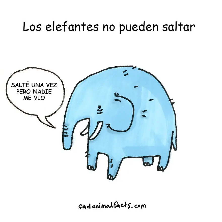 datos curiosos datos curiosos